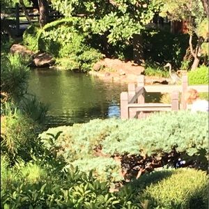 Meet your Posher, Gina